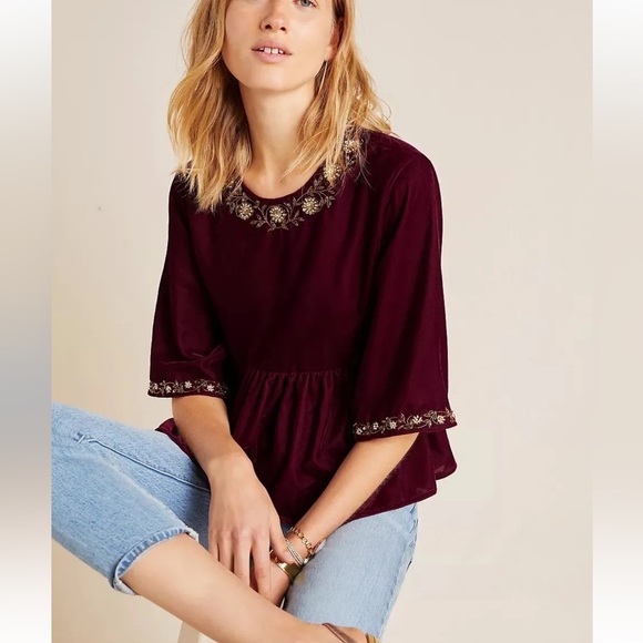 Anthropologie Tops - NWT Anthropologie Mayelle Velvet Babydoll Blouse Kavita Bhartia Medium